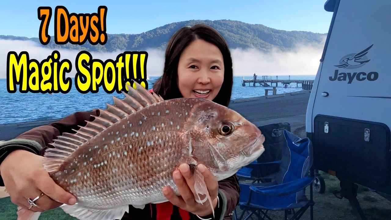 Camping & Snapper Fishing Paradise at Momorangi Bay, Grove Arm, Marlborough Sounds  🎣🚤