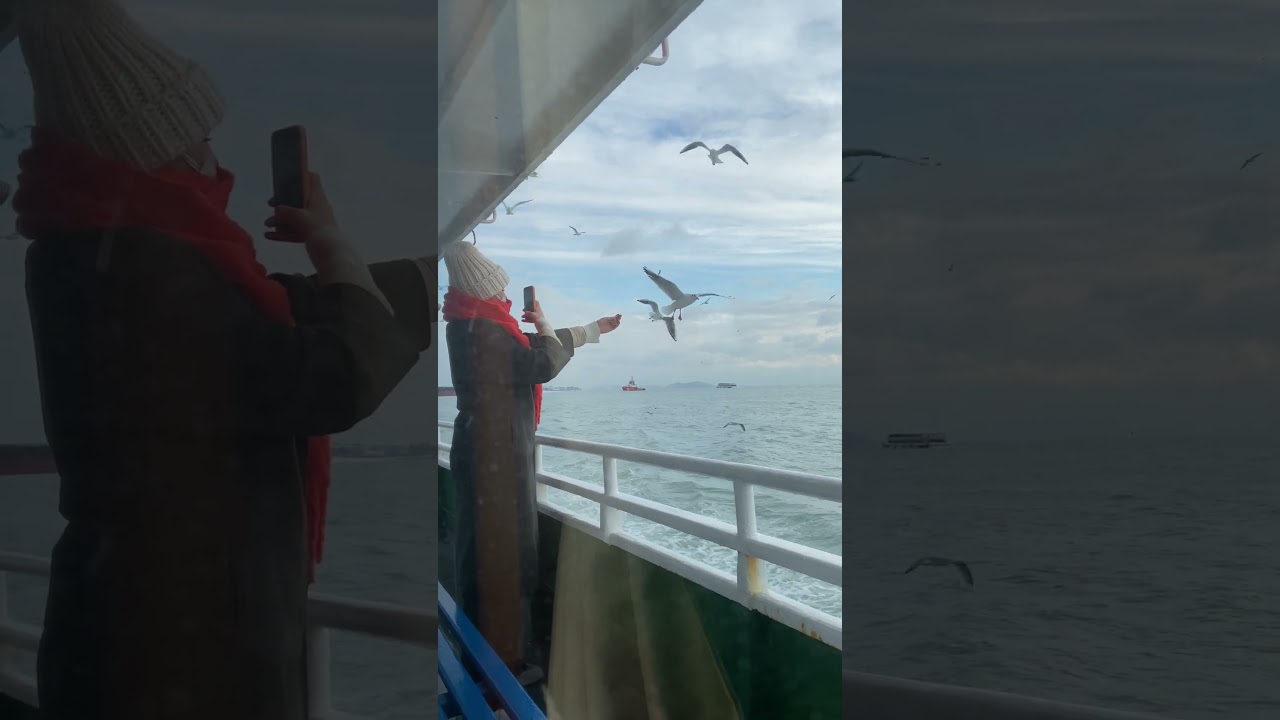 Enjoying Ferry Ride In Istanbul