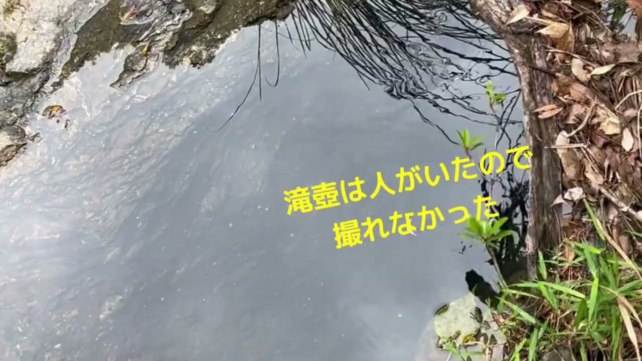 やんばる国立公園を紹介#やんばる#山原#名護市#国頭村#大宜味村#東村#親川滝#シーゾーグムイ#タキガーの滝#沖縄#沖縄本島北部#やんばる国立公園