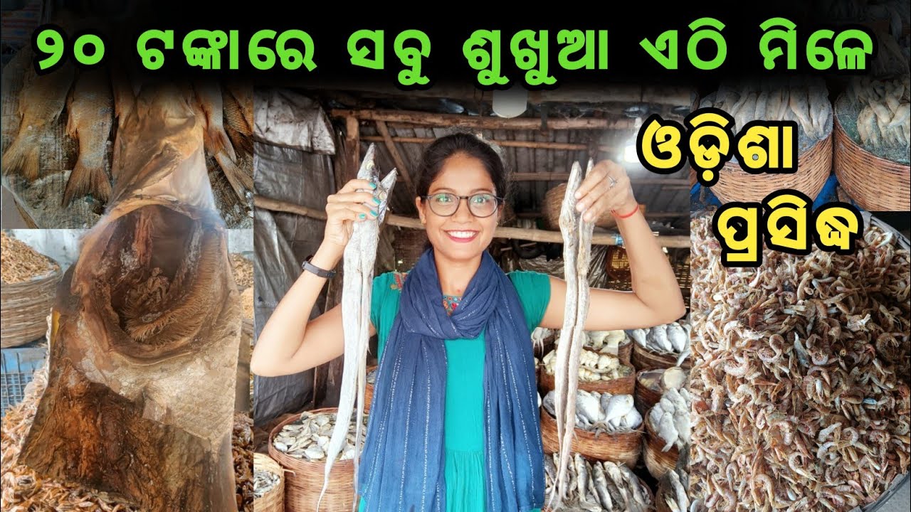 Odisha Famous Dry fish(Sukhua) Market |RS 20 | Vlogger girl Bhabani