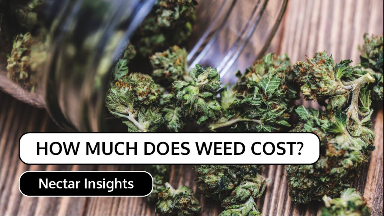 How Much Does Weed Cost UK | Nectar Insights