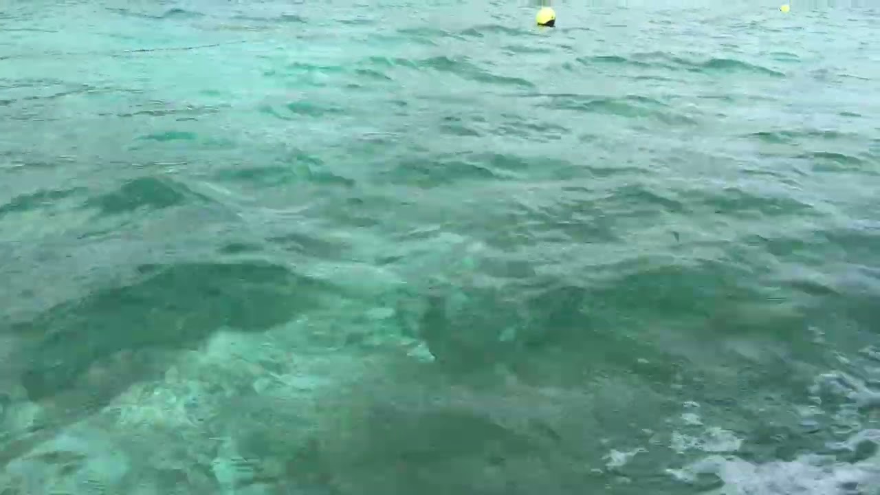 Maldives Speed Run: Island to Island 🚤🔥 Racing the Waves in the Maldives 🌴💨