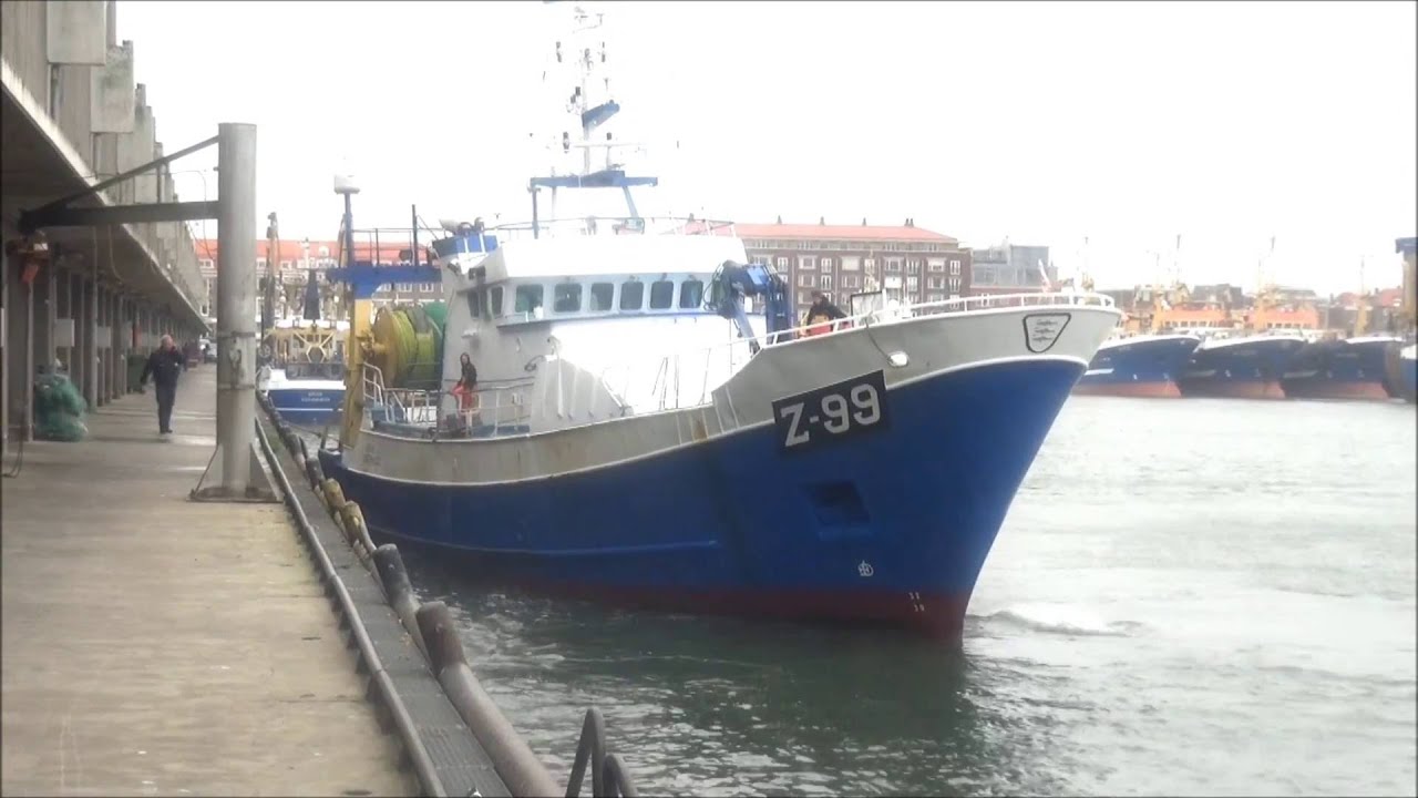 Z- 99 ARAVIS (ZEEBRUGGE) AANKOMST & VISLOSSEN 2-6-2016