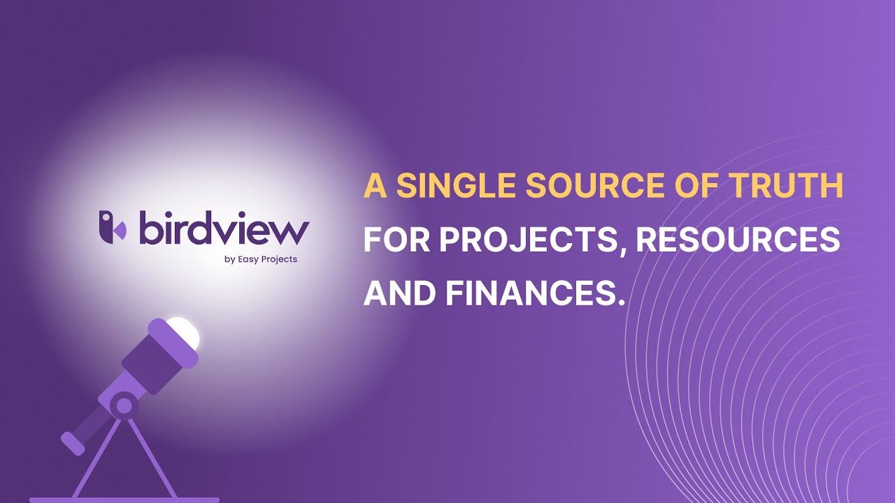 Professional Services Automation Software Overview | Birdview PSA