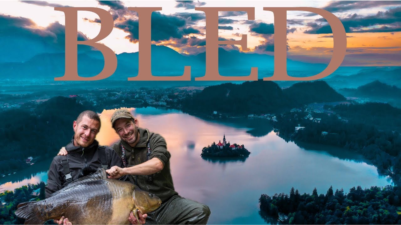 BLED