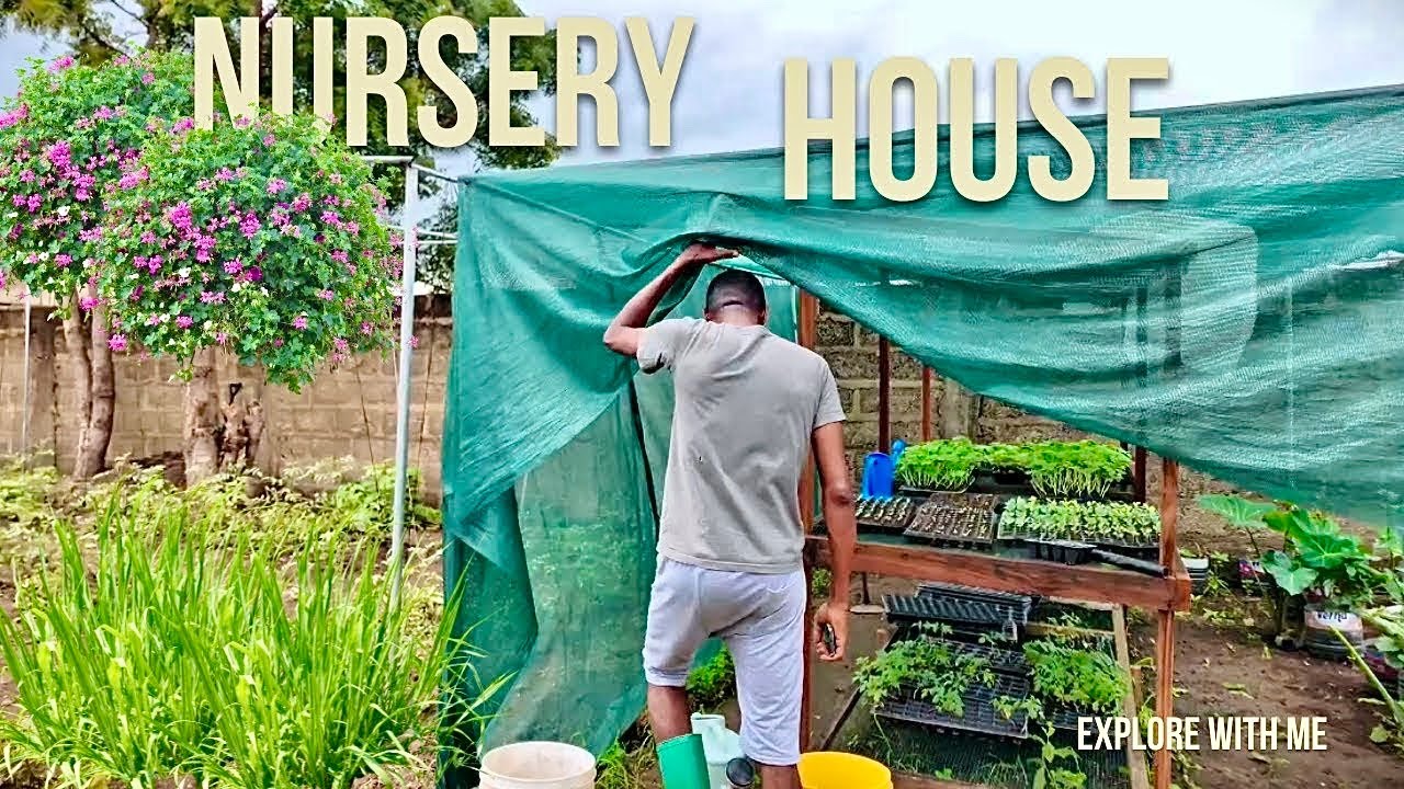 Nursery House For Plants| DIY Greenhouse For Beginners