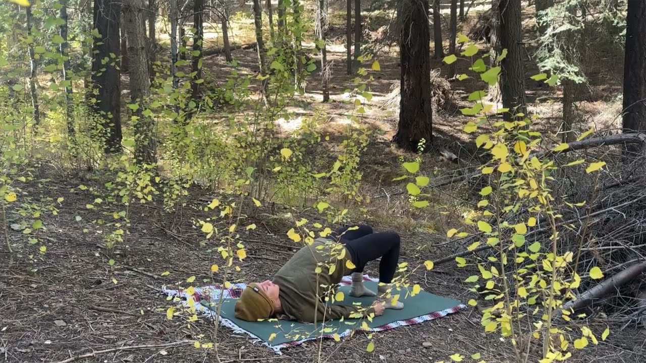 November Shorter Flow