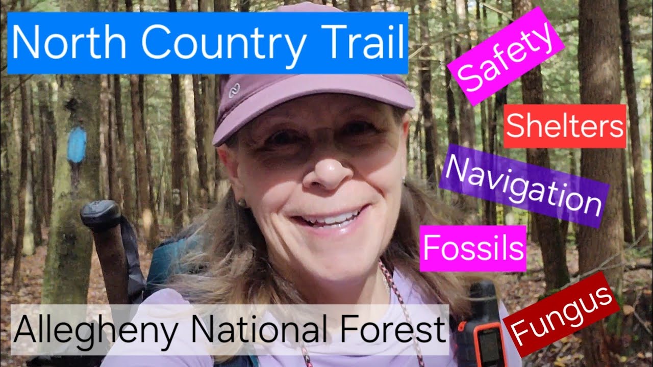 North Country Trail Allegheny National Forest Section Hike Recap