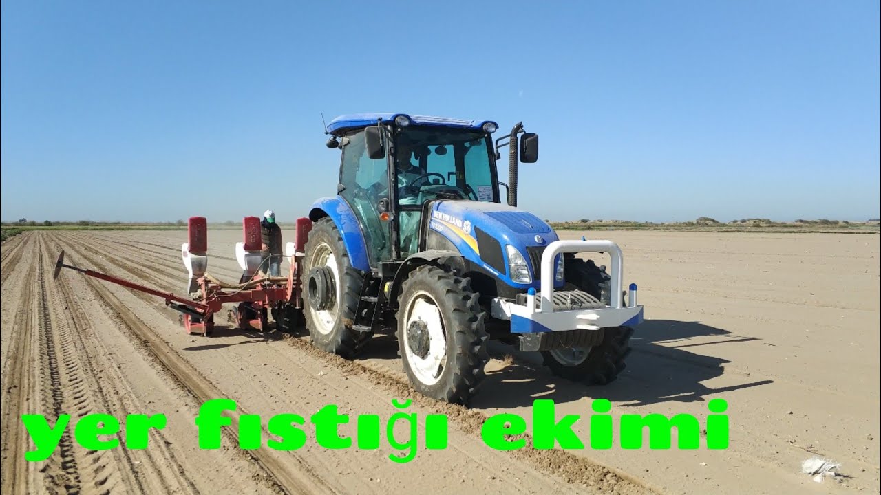 15 Yer fıstığı ekimi nasıl yapılır mersin tarsus baharlı köyü