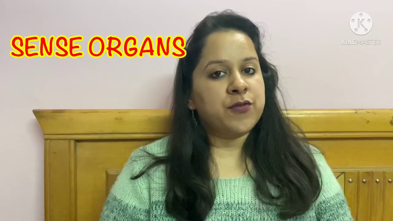 Revision of sense organs