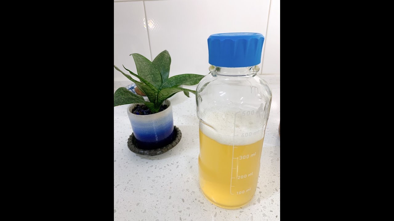 彎刀灶咖｜DURAN YOUTILITY 血清瓶 用途教學 與 清洗
