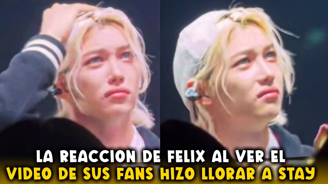 LA REACCIÓN DE FELIX AL VER EL VIDEO DE SUS FANS HIZO LLORAR A STAY