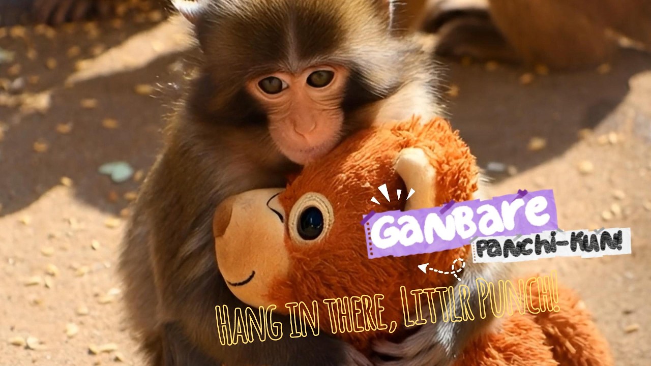 Ganbare Panchi-kun! Hang in There, Little Punch!