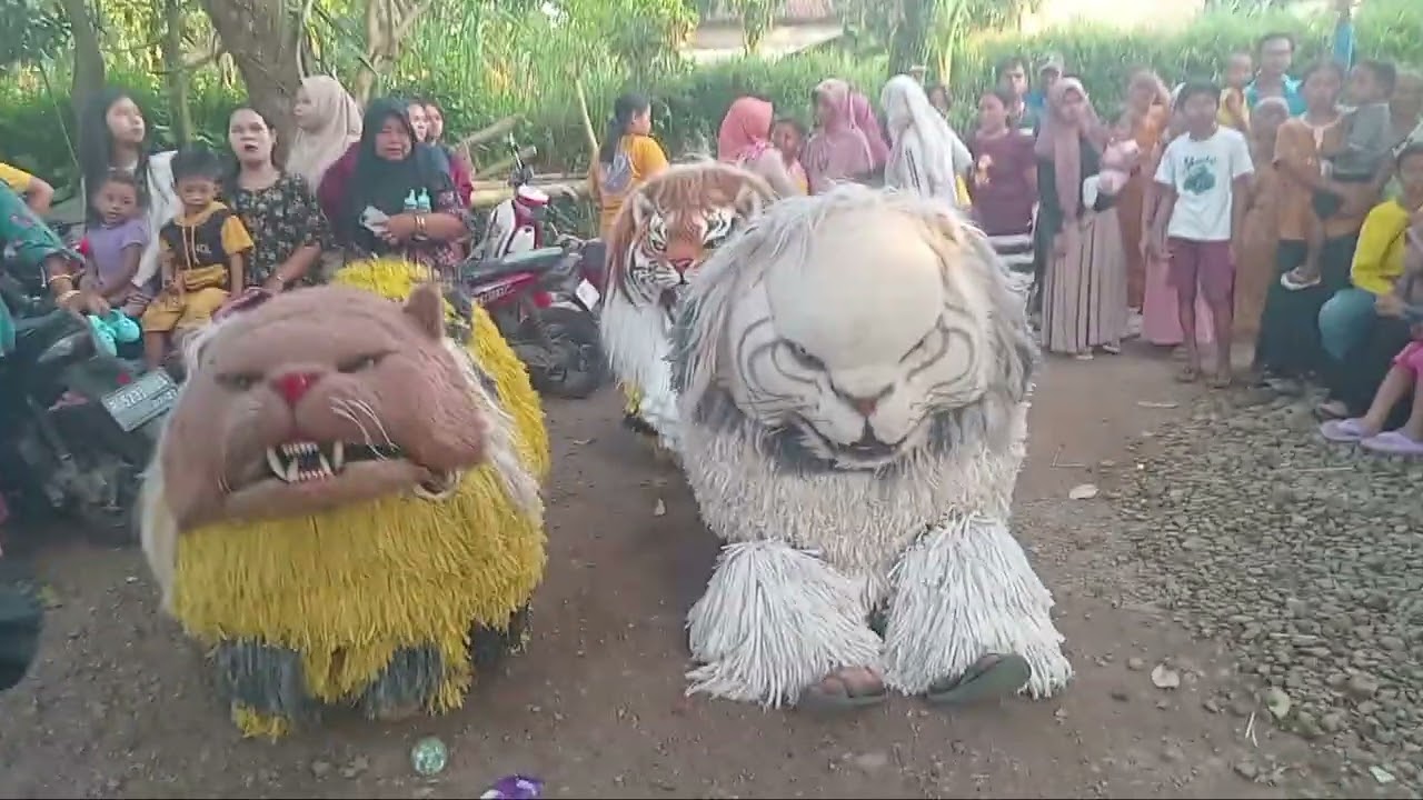 Antirogo berada 