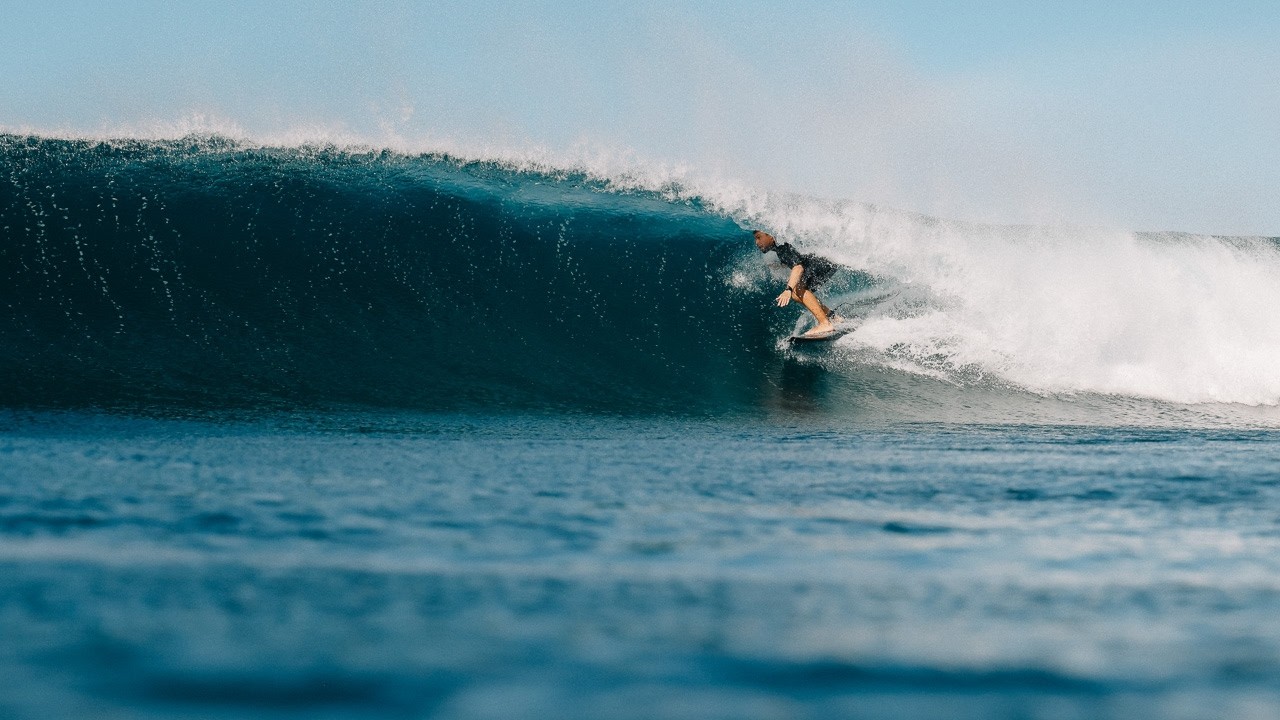 Surf Simply Stories #4 (Feb 7-14, 2026)