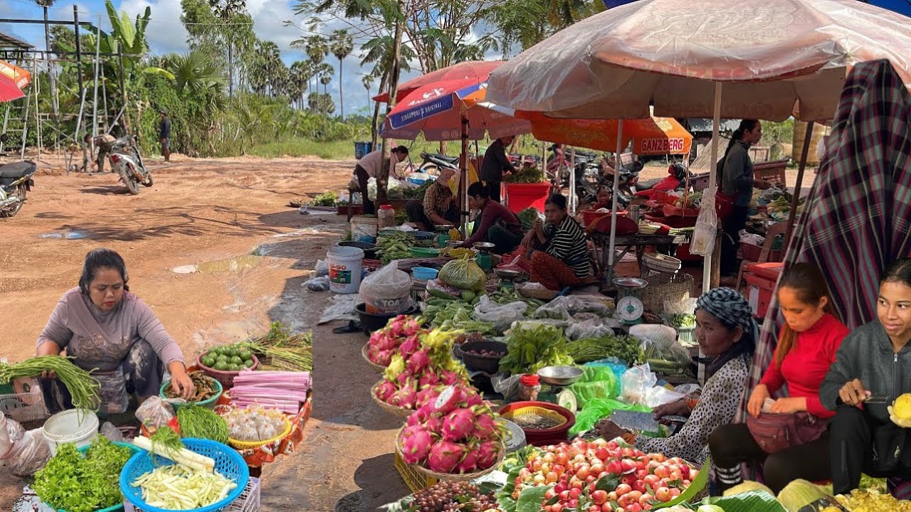 Cambodian Market Food Tour  -  City Market Vs Countryside Market #daily life