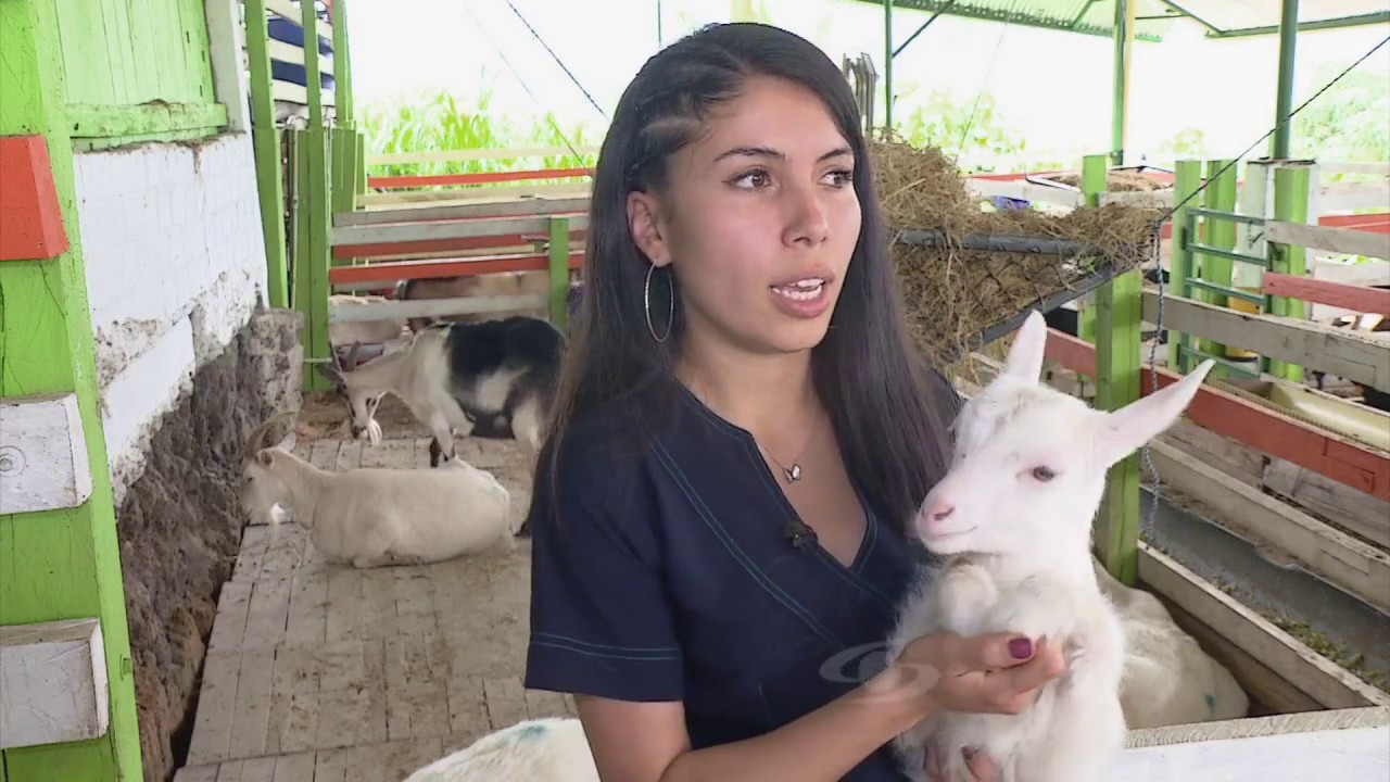 Reproducci&oacute;n en caprinos | La Finca de Hoy
