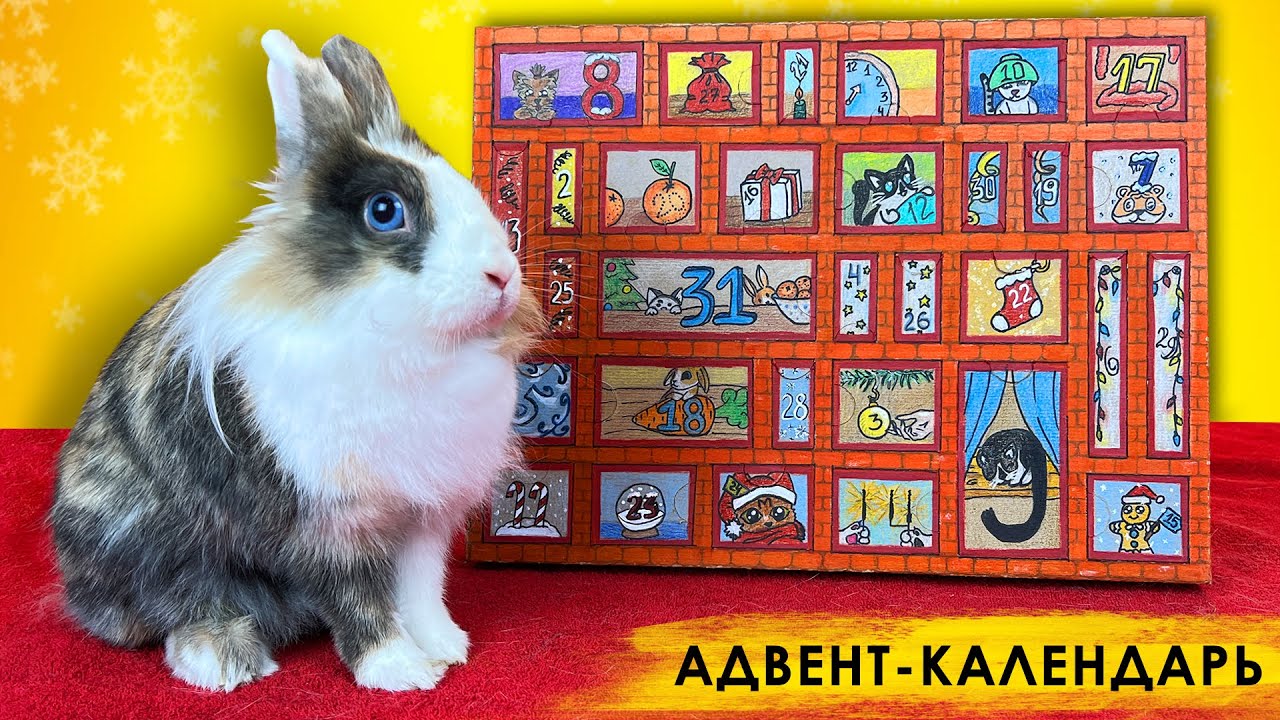 КАК СДЕЛАТЬ АДВЕНТ КАЛЕНДАРЬ СВОИМИ РУКАМИ за 24 ЧАСА! СМЕШНЫЕ КОТ МАЛЫШ и КОШЕЧКА МУРКА