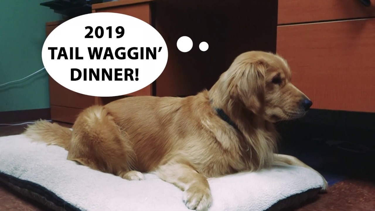 2019 TWD Registration Video Jess Karma