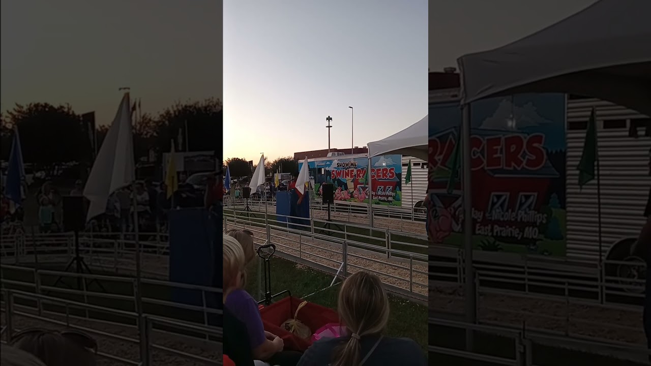 Pig race at the Winston Salem fair.9/29/ 2023