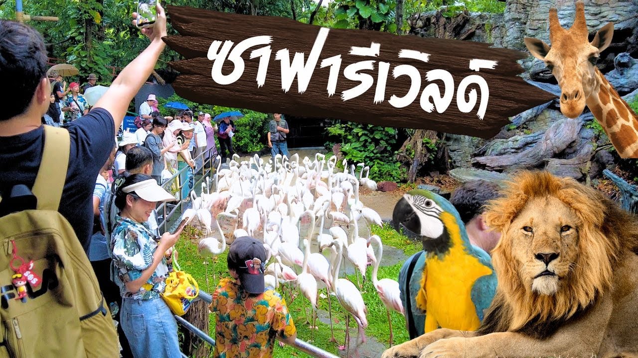 ซาฟารีเวิลด์ สวนสัตว์ในกรุงเทพ Safari World