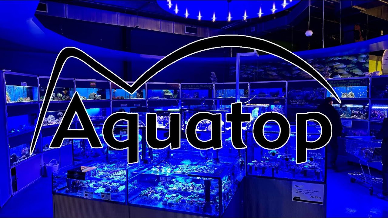 Aquatop in Würselen bezoeken (Duitsland)