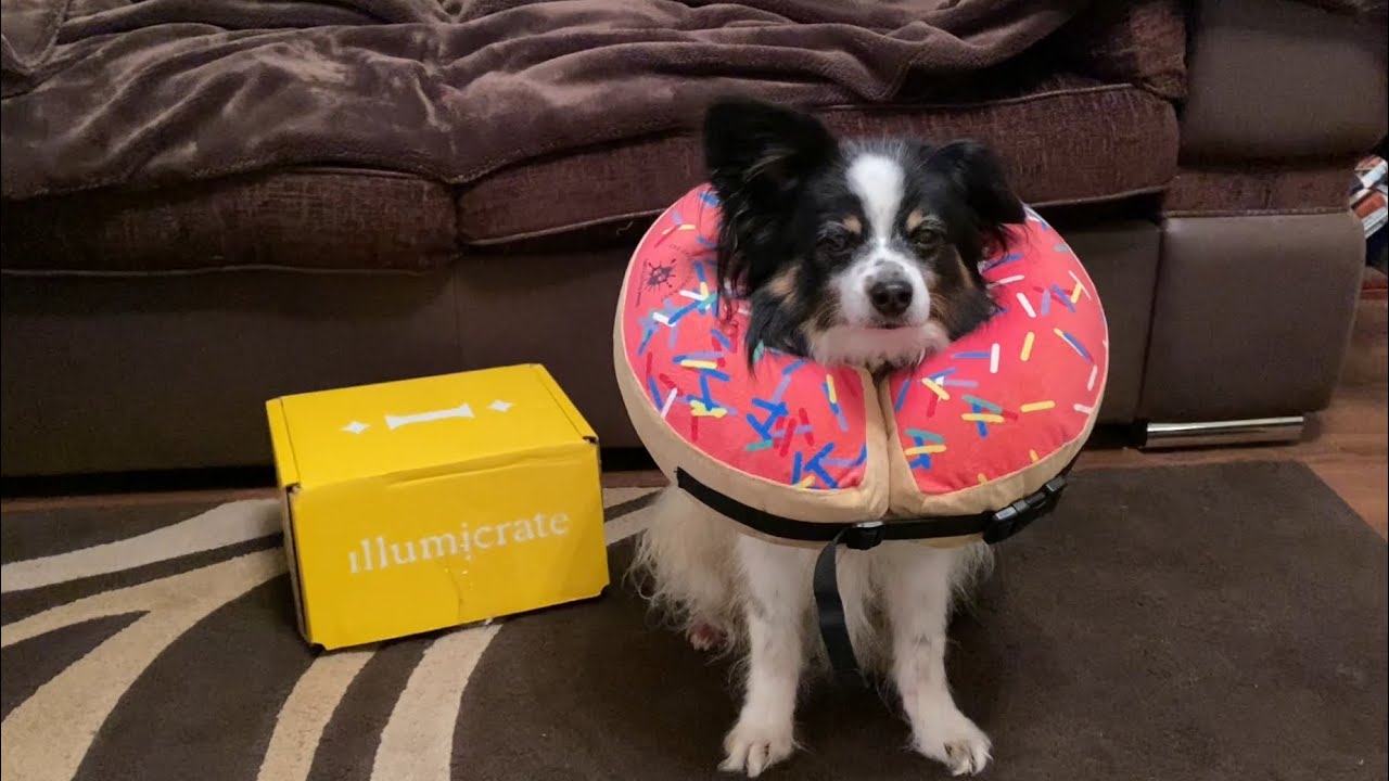 Illumicrate Unboxing - January 2026