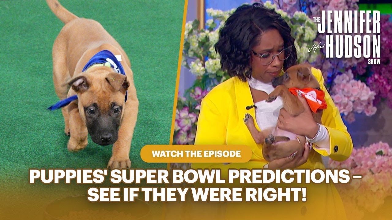 Gina Torres & Adorable Puppies: Watch the Episode! | The Jennifer Hudson Show