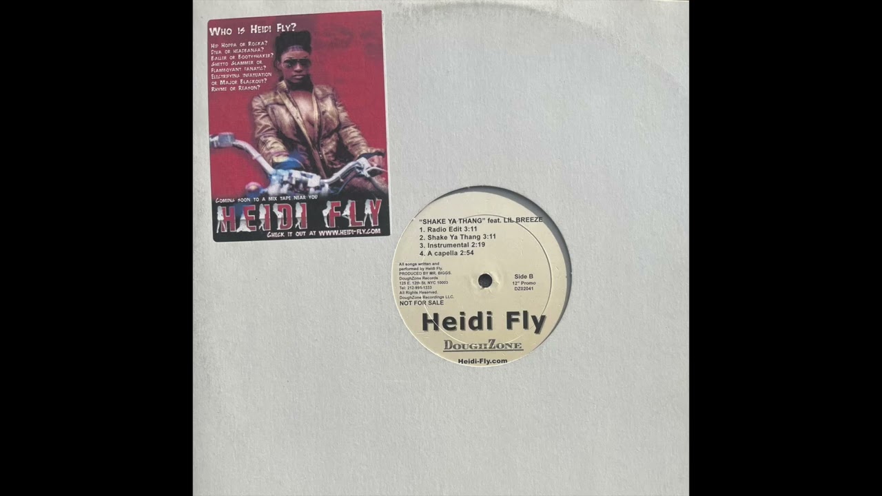Heidi Fly ~ Shake Ya Thang (Instrumental) [USA] N64 Rap Beats, GoldenEye Hip Hop, 90s Single (1997)