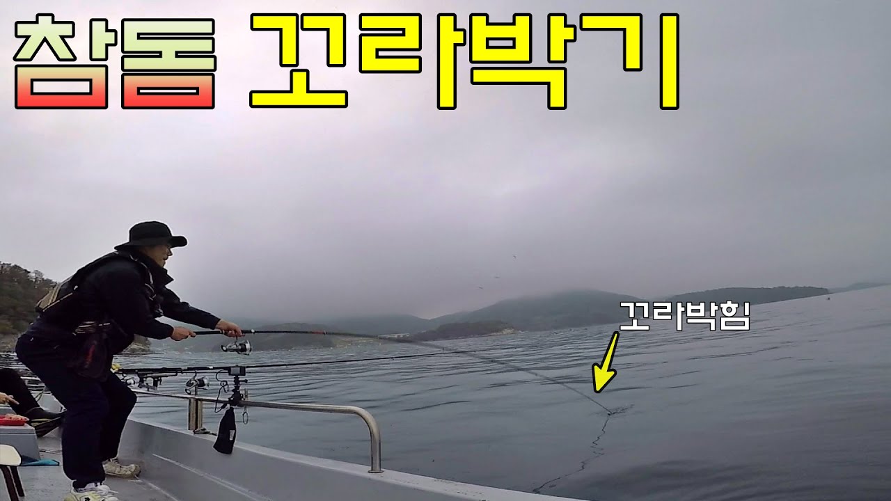 [참돔 꼬라박기] 대물 참돔을 잡고 싶다면 지금 도전하십시요!!(With 돔돔낚시)