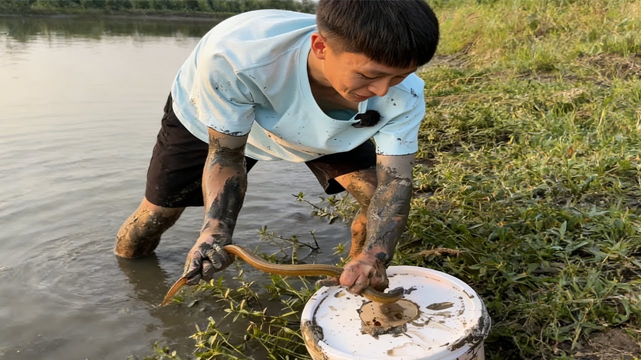 老闆娘喊來她塘裏抓鱔魚，壓根沒抱別的期待，沒想到還能抓到甲魚，這波直接超預期，撿着寶了！#大熱門 #fishing