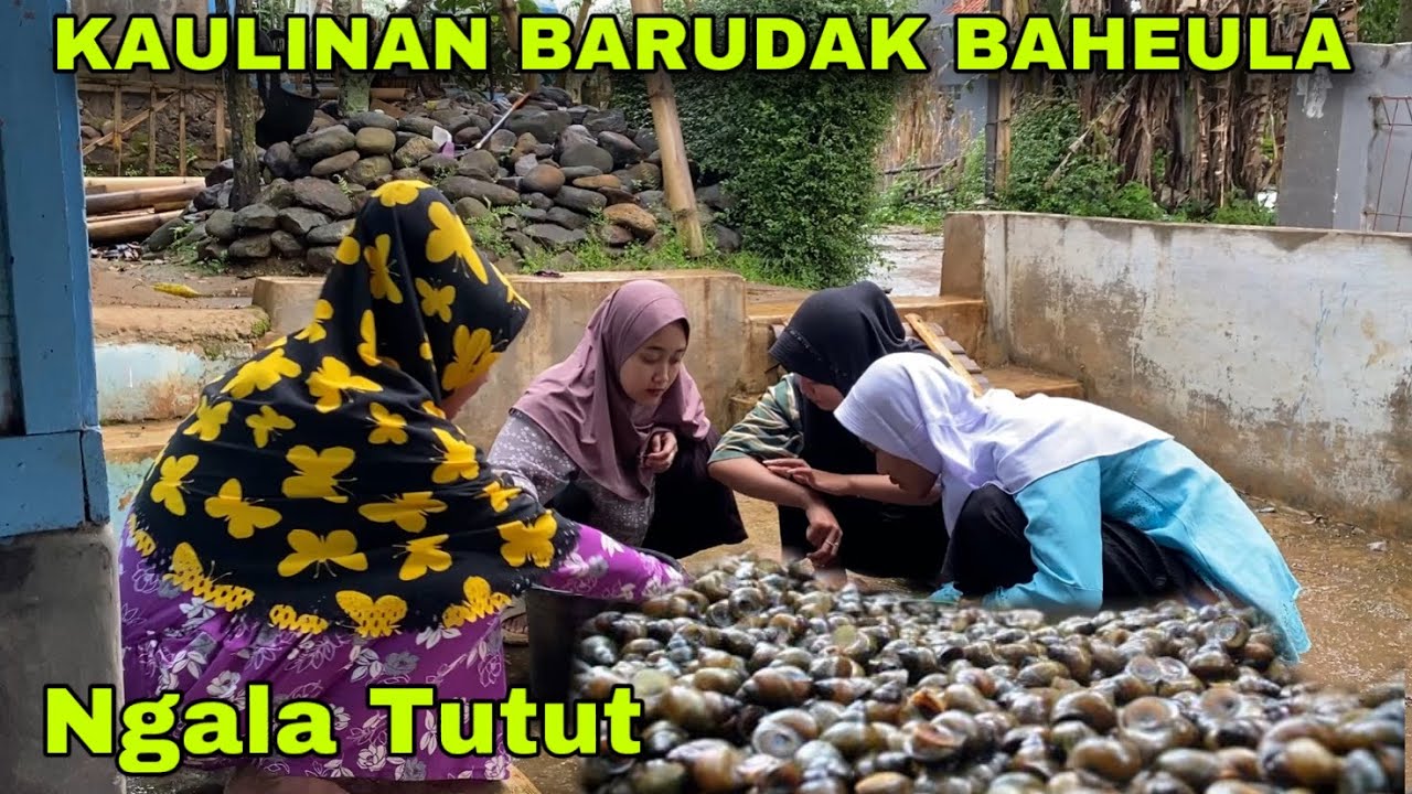 Ngala Tutut || KAULINAN BARUDAK BAHEULA