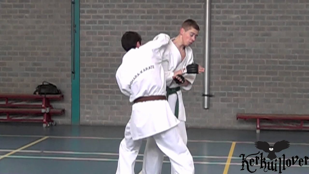 Ashihara Karate Elite Training Dojo Haragei 15 april 2012