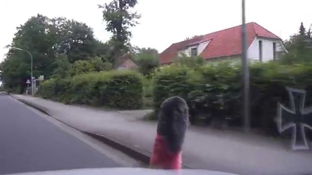 Gro&szlig; Hesepe Geeste Emsland 26 6 2013