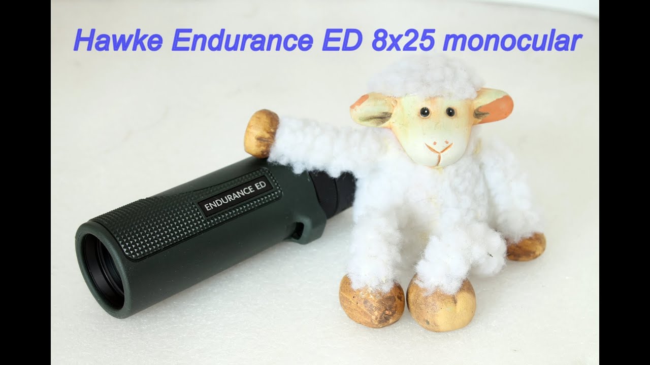 Монокуляр Hawke Endurance ED 8x25