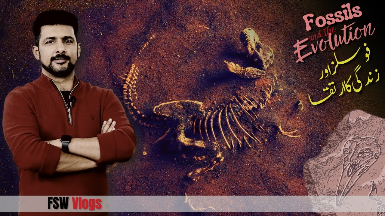 Evolution 03 | Link of the Fossils and Rocks in the Theory of Evolution | Faisal Warraich