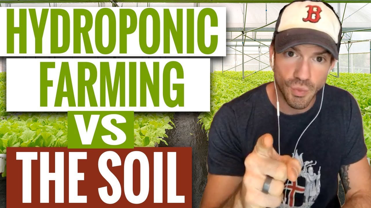 Is Hydroponic Farming Safe? | Hydroponic vs Soil | Hydroponic Nutrients