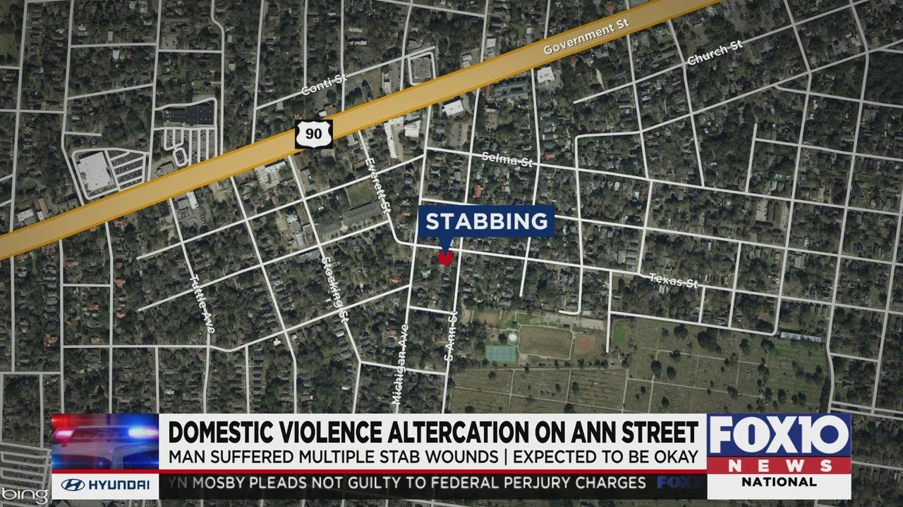 Domestic dispute ends in stabbing