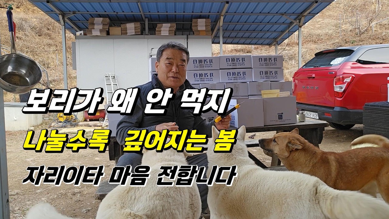보리가 왜 안 먹는지 [나눌수록 깊어지는 봄, 자리이타의 마음을 전합니다]
