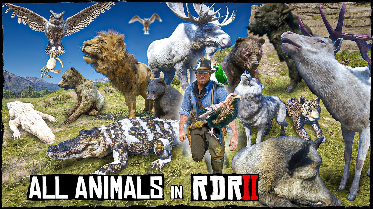 RDR2 Animal Encyclopedia | All Creatures & Wildlife in 4K