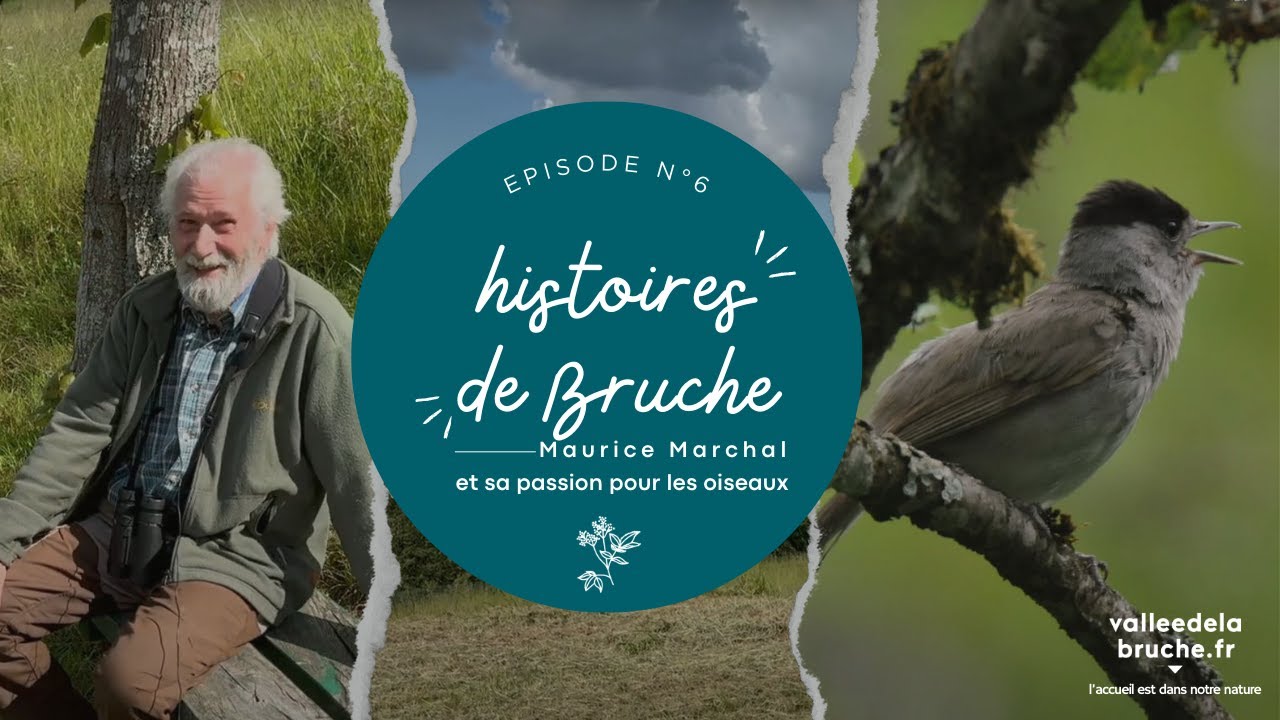 Histoires de Bruche, épisode 6 - Maurice Marchal partage sa passion pour les oiseaux