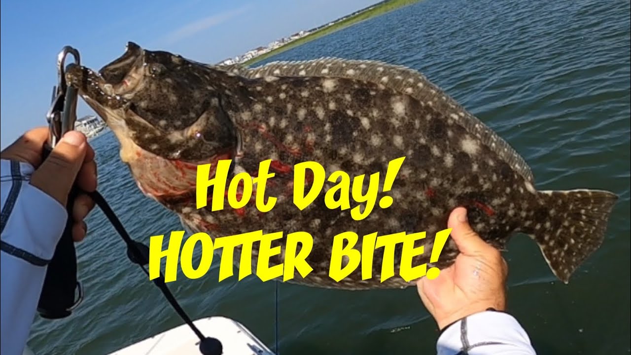 ☀️ Summer Heat = Flounder Feast! Epic NJ Fishing Trip #flounderfishing #fishing #fish