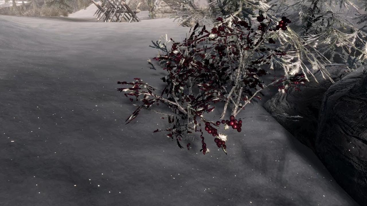 Skyrim | Find a Way to Release Thorald from Thalmor Custody | Missing in Action | Side Quest | 4K