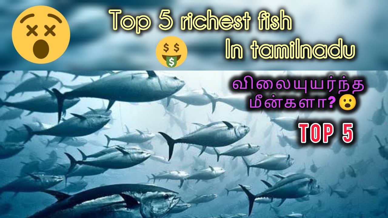 Tamil Nadu top 5 richest fish in tamil