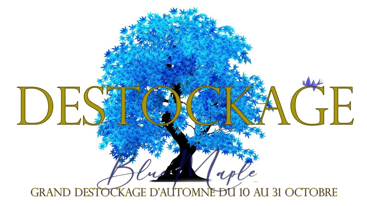Blue Maple Destockage