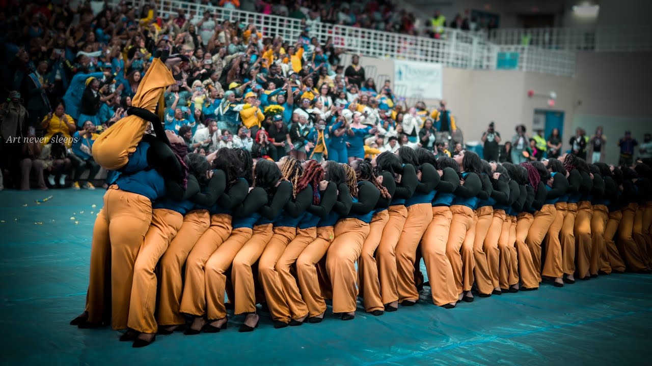 Alpha Beta Chapter of Sigma Gamma Rho Sorority, Inc. Spring 25 Presentation.