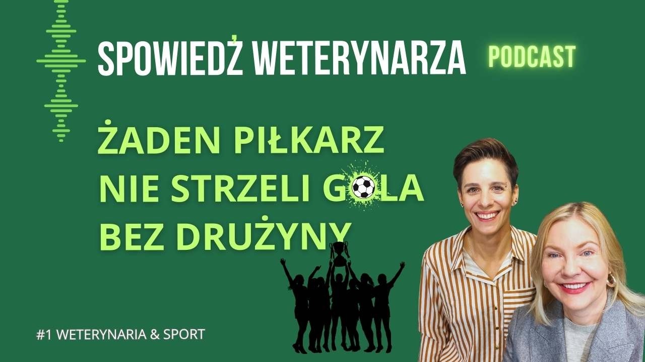 Żaden piłkarz nie strzeli gola bez drużyny ⚽ Weterynaria i sport🎙#Podcast Spowiedź Weterynarza S3.O1