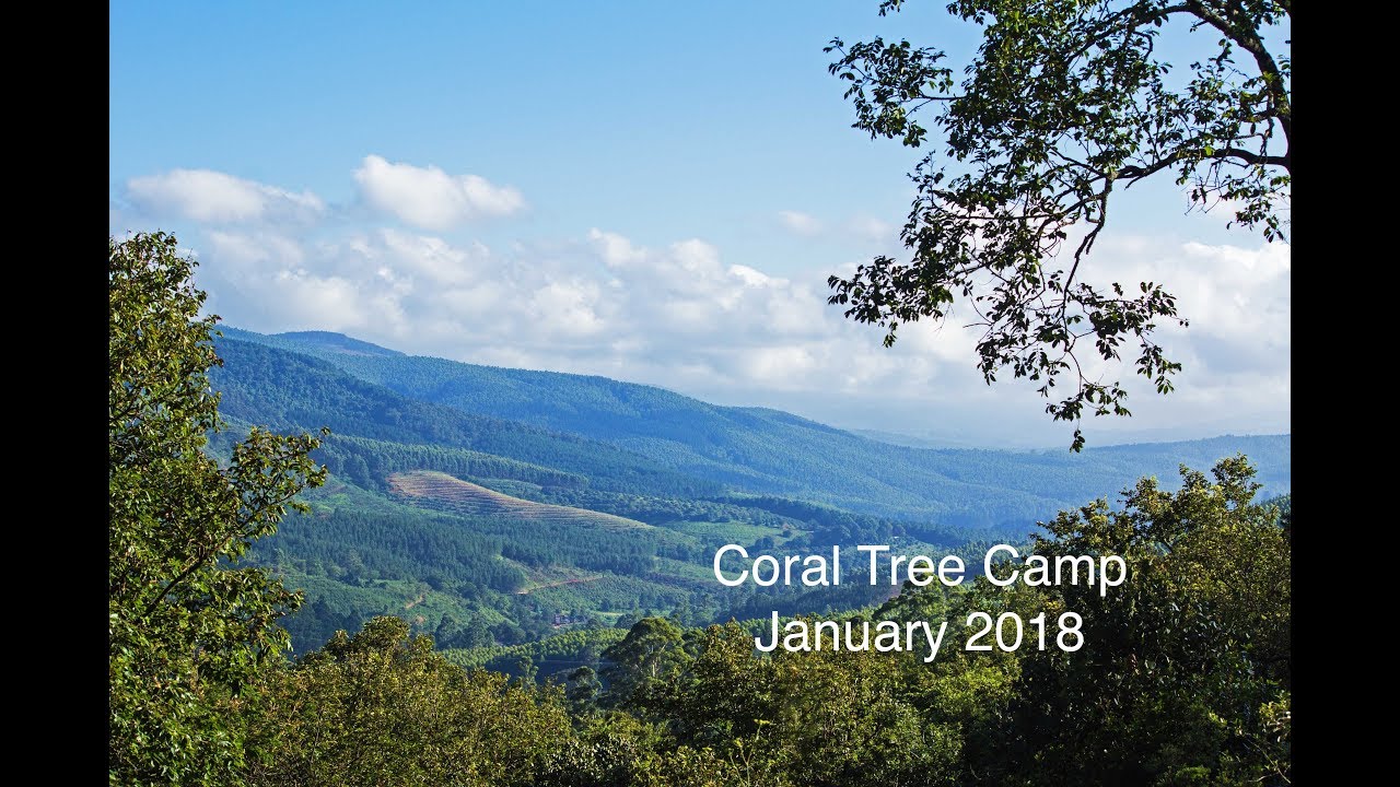 Coral Tree Camp