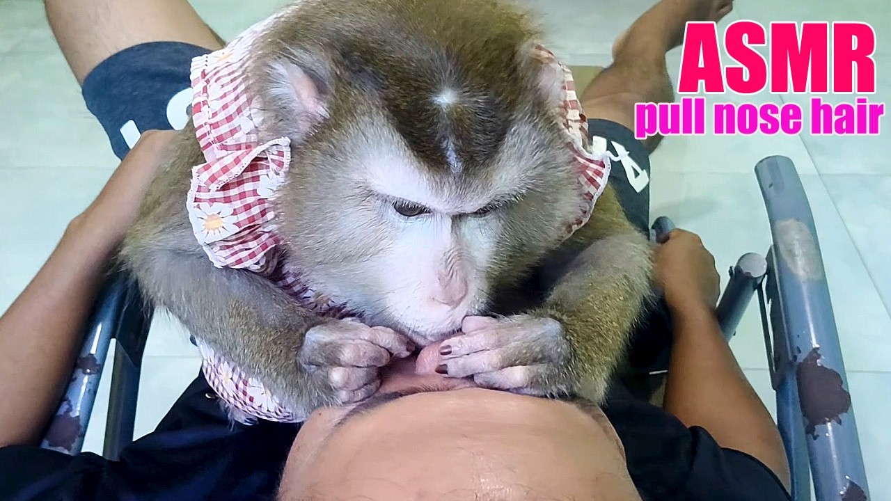 ASMR Pulling Hair In Nose | Gentle Grooming Session Dr. LYLY IS The Best