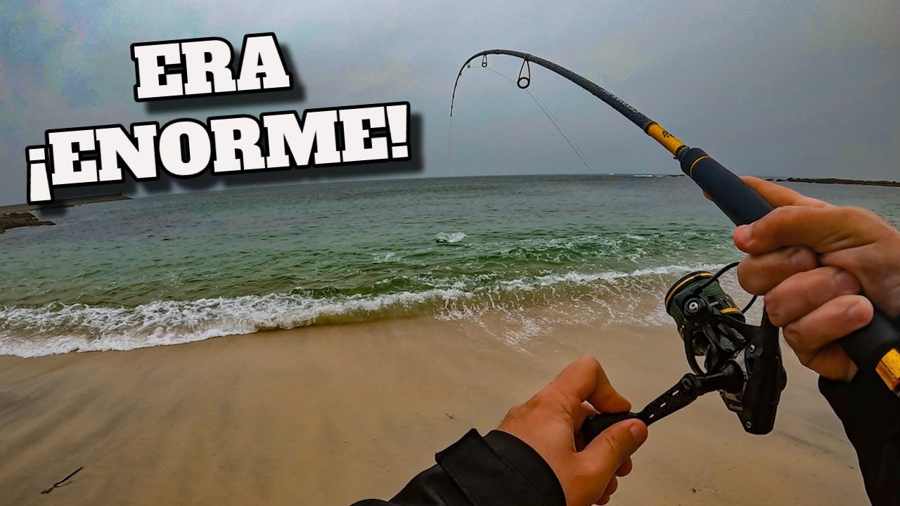 😱 La PELEA MÁS ÉPICA… y no vas a creer cómo termina 😱🎣
